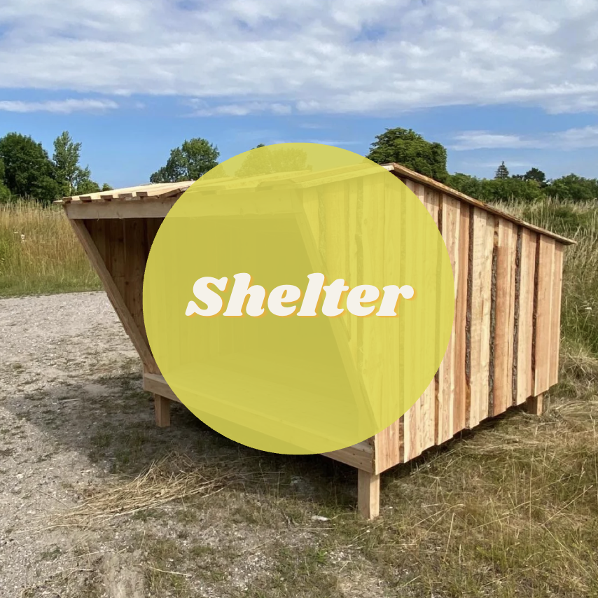 Guide til shelters