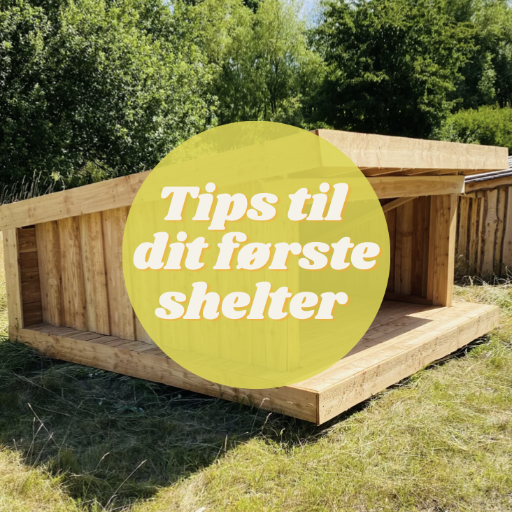 Guide til valg af shelter