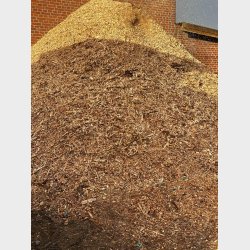 Flis af lrk og cypres