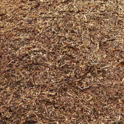 Flis af lrk og cypres